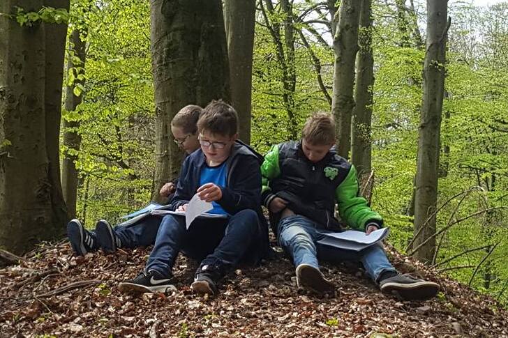 Drei Schüler sitzen mit Arbeitsblättern auf dem Laubboden im Buchenwald